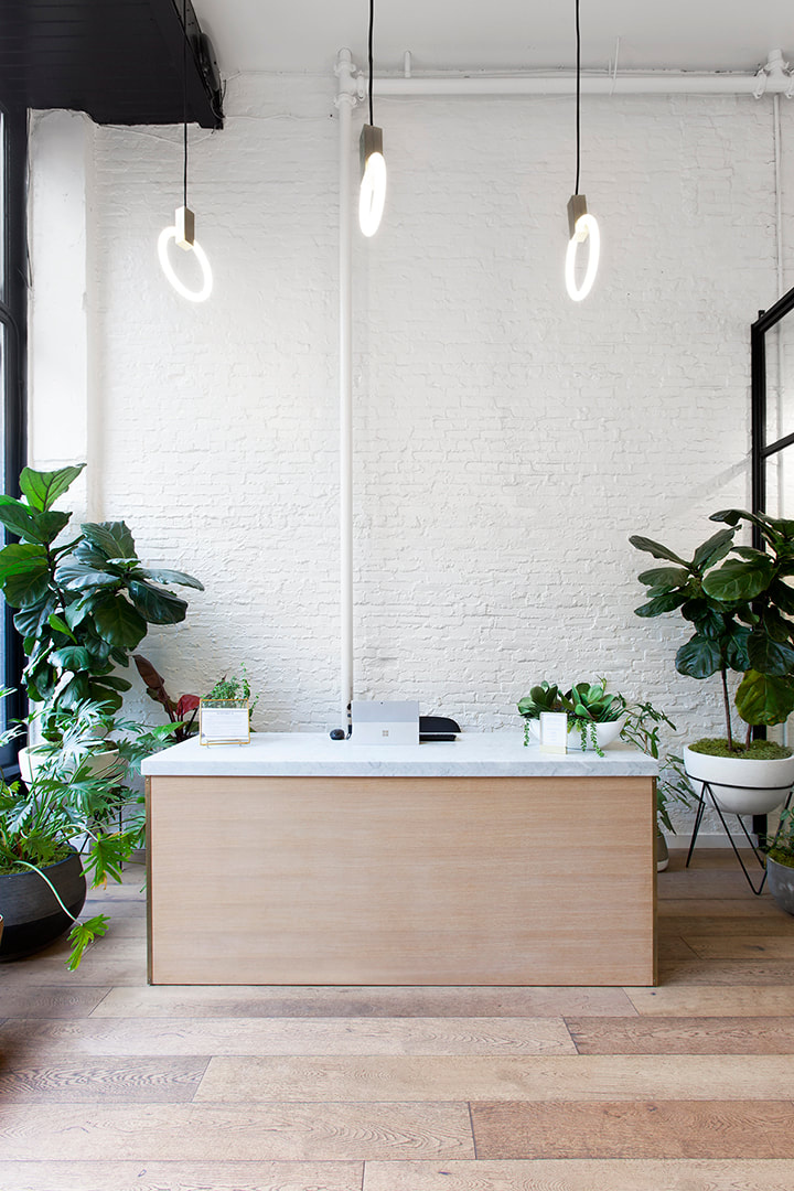 serra canabis dispensary by designers omfgco in portland oregon, krista jahnke photography